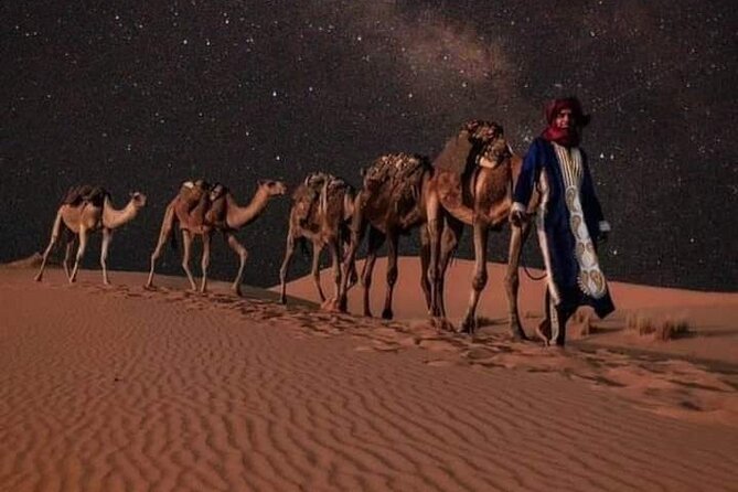 3 Days Luxury Desert Tour From Fes To Marrakech via Merzouga - Traveler Reviews and Experiences