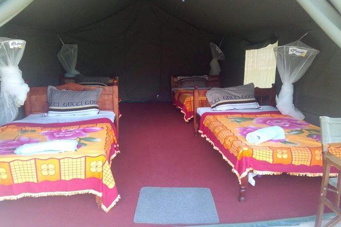 3 Days Maasai Mara Guided Safari From Nairobi - Day 3 Experiences