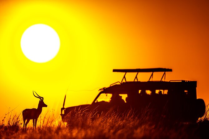 3 Days Masai Mara on Private 4x4 Land Cruiser - Accommodation Options