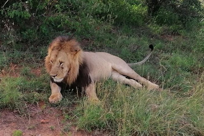 3 Days Masai Mara Safari Group Joining (Daily Departures) - Meeting Point and Pickup Information