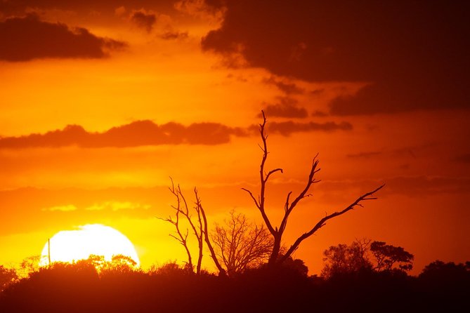 3 Days Okavango Delta - Culinary Experience During the Trip