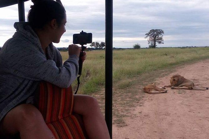3 Days Serengeti & Ngorongoro Tour - Traveler Recommendations