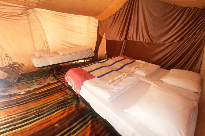3 Days South Tunisia Discovery Tour With Camp Stay and Meals - Reviews and Traveler Feedback