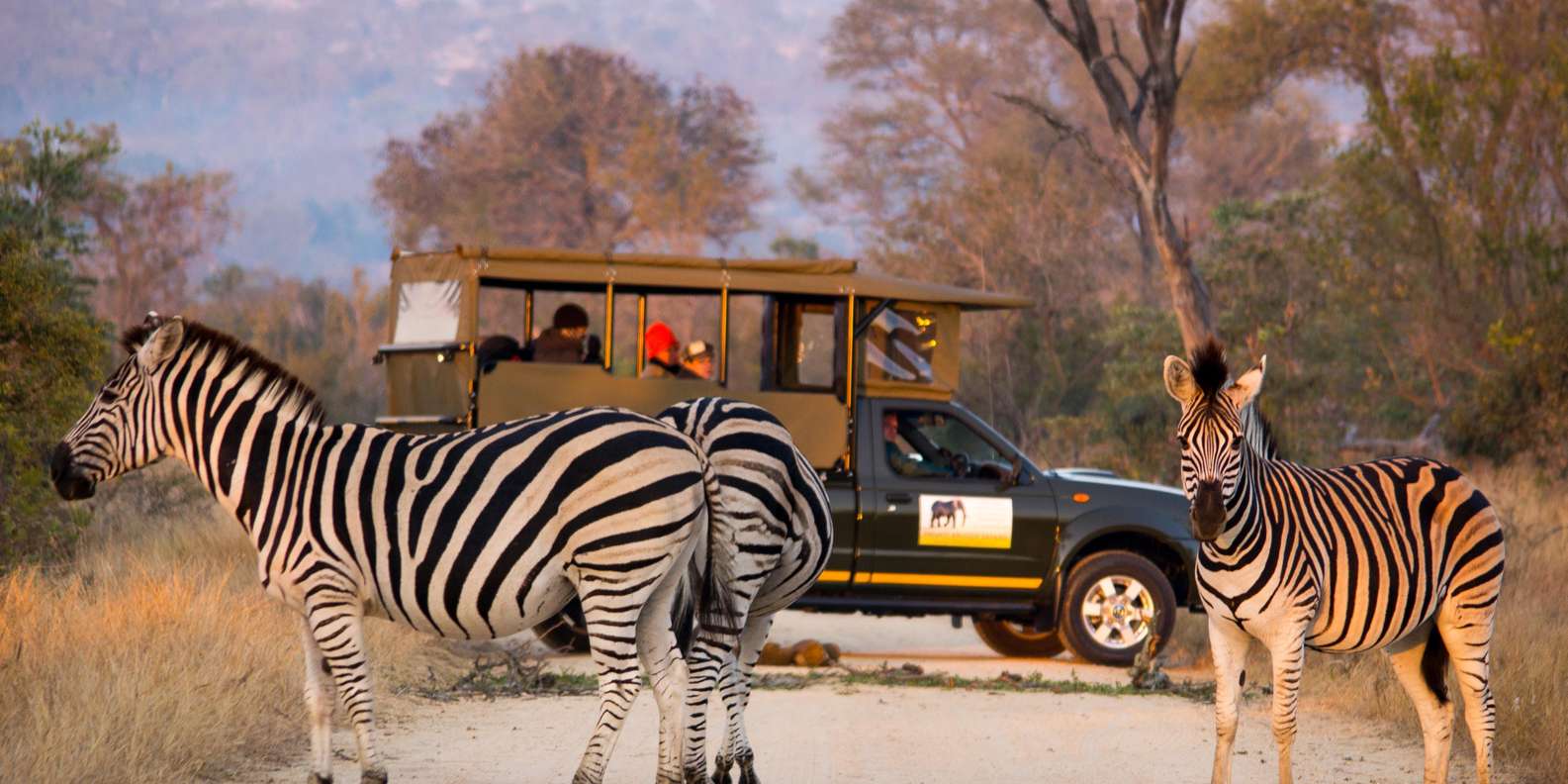 3 Hour Blue Canyon Private Reserve Game Drive - Expert Guides Insights and Entertainment