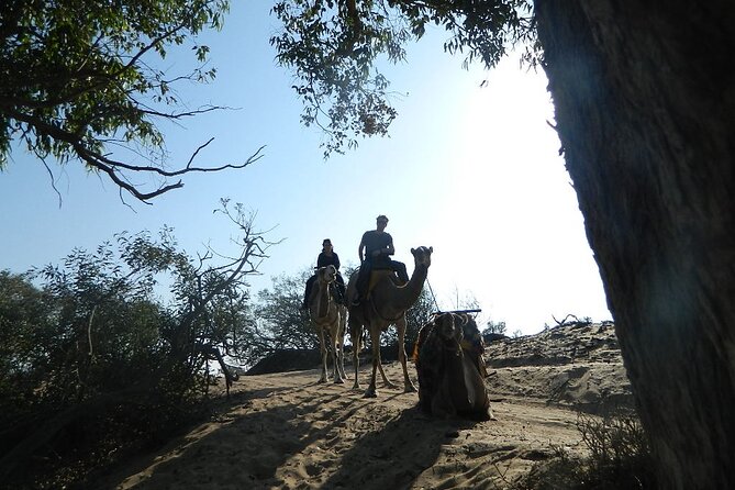 3 Hours Camel Ride in Essaouira, Beach and Dunes - Health and Safety Measures