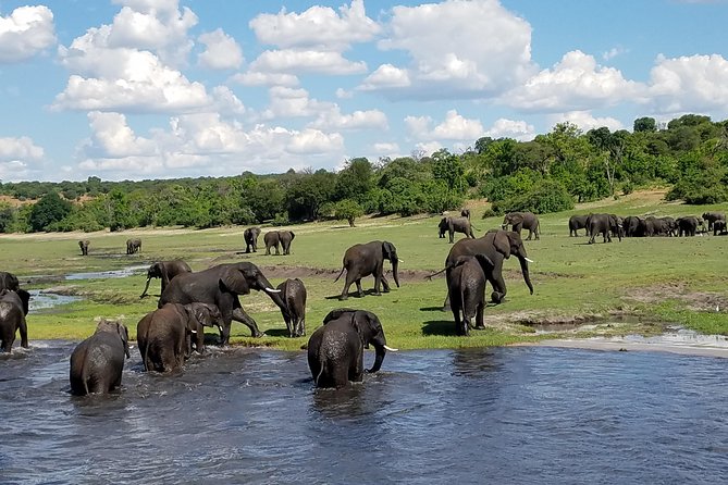 3 Hours Chobe River Boat Cruise - Tour Operator Background