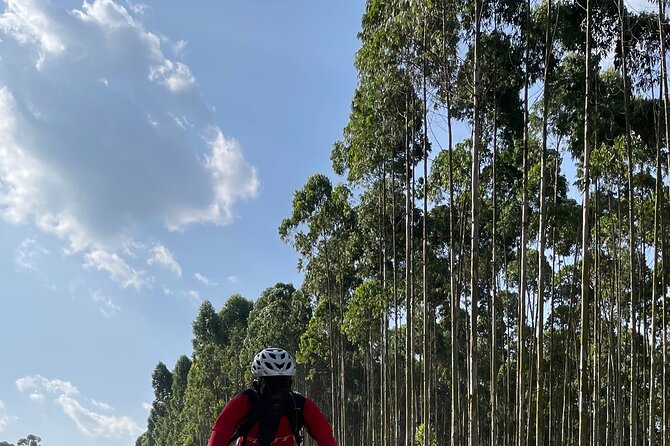 3 Hours Guided Cycling Tour Across Lake Victoria - Safety and Accessibility