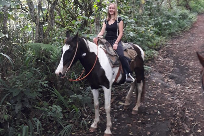3 Hours Small-Group Horseback Riding Experience in Baños - Connecting With Nature