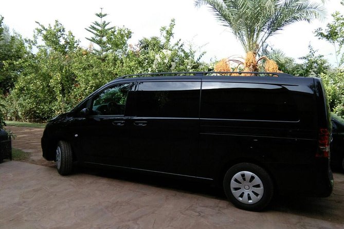 3 Hours Tangier Sightseeing & Camel Trek - Booking Information