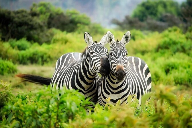 4-Day Budget Tarangire, Serengeti, Ngorongoro Safari Guided Tour - Accommodation and Meals