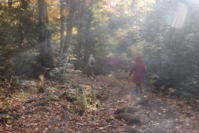 4-Day Canadian Camping Road Trip (Moose On The Loose) - Reviews and Ratings
