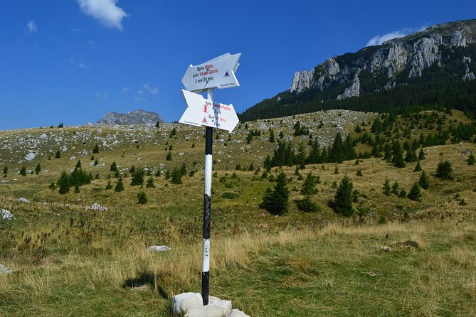 4-Day Carpathian Trek: Bucegi Mountains and Piatra Craiului National Park - Accommodation Details
