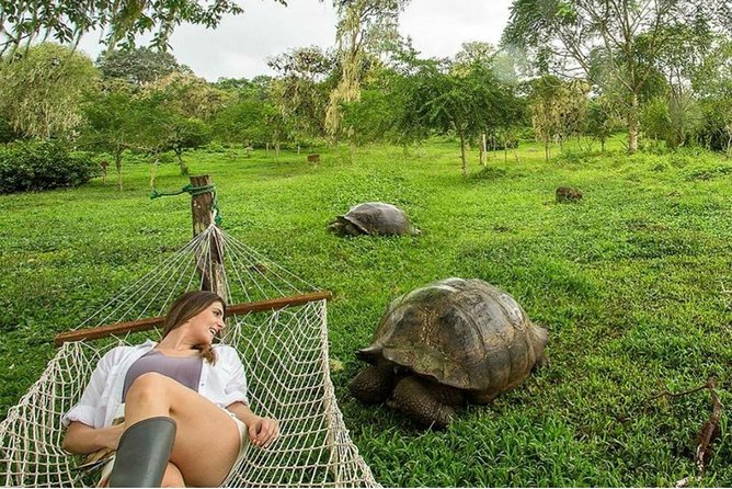 4-day Galapagos on a Budget Experience - Traveler Feedback and Recommendations