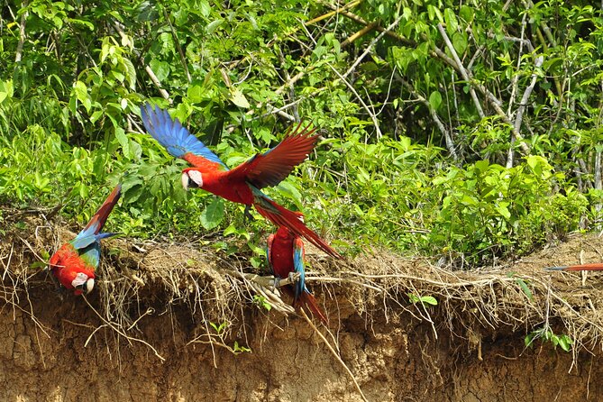 4-Day Private Tour to Manu National Park From Cusco - Transportation and Logistics