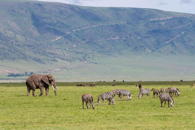 4-day Tanzania Safari - Accessibility Considerations