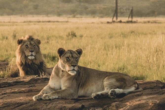 4 Days, 3 Nights Group Budget Safari, Lake Manyara, Serengeti, Ngorongoro - Transportation and Guides