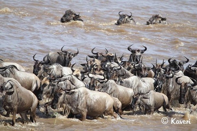 4 Days / 3 Nights Lake Manyara, Ngorongoro and Serengeti - Observe Diverse African Wildlife