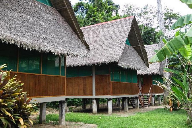 4 Days 3 Nights – Peruvian Tambopata Jungle - Group Size and Languages