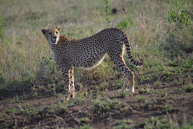 4 Days Adventure Camping Safari - Pricing Options