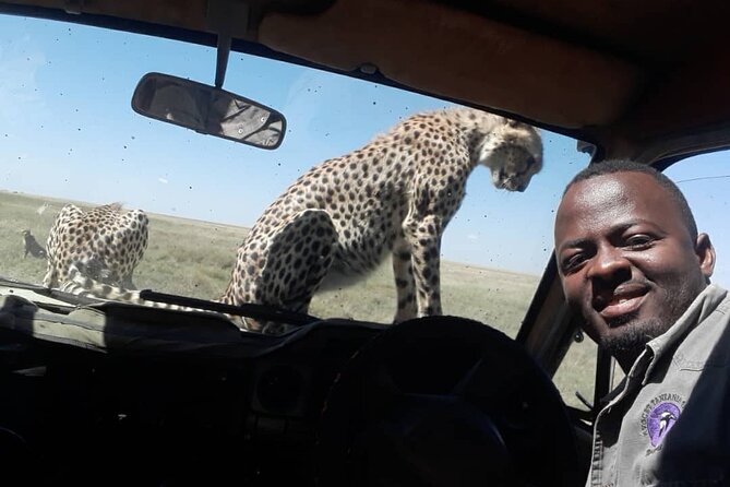 4 Days Group Joining Camping Safari to Tarangire Serengeti Ngorongoro Crater - Inclusions and Exclusions