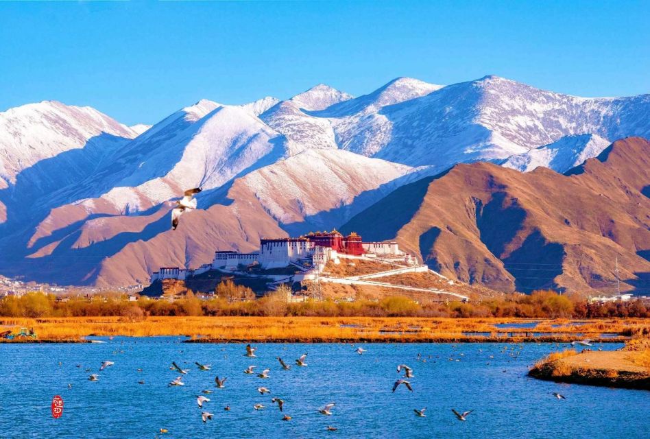 4 Days Lhasa City Essence Tour - Health Restrictions