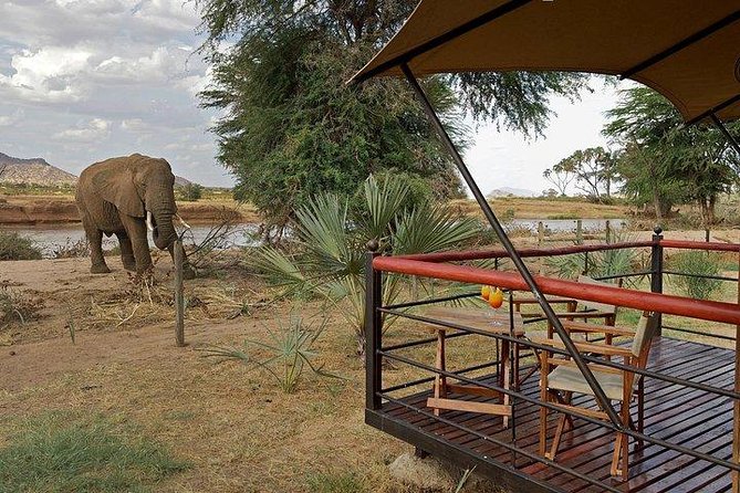 4 Days Maasai Mara-Nakuru Mid-Range - Pricing and Cancellation