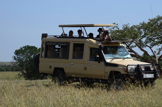 4 Days Safari Lake Nakuru NP Naivasha and Masai Mara - Guest Experiences and Reviews