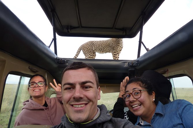 4 Days Safari Tour Tanzania - Day 4: Ngorongoro Crater