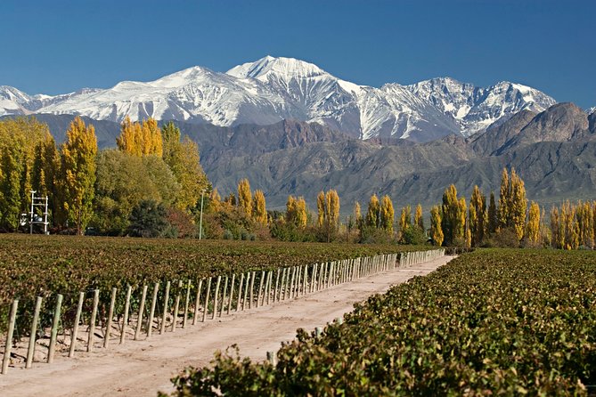 4-Days Trip to Mendoza and The Andes - Adventure in the Andes