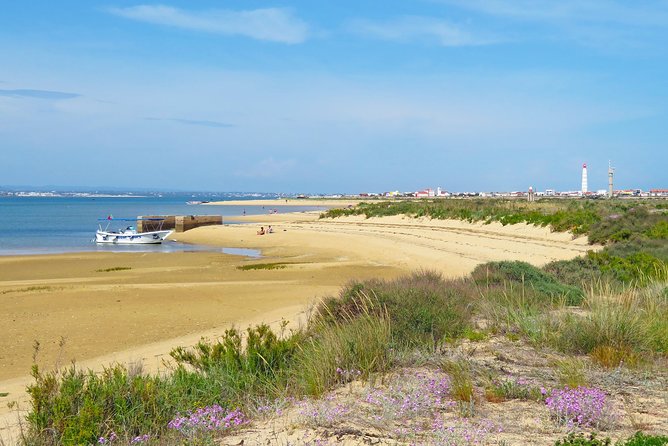 4-Hour Private Boat Tour in Ria Formosa - Exploring Ria Formosa