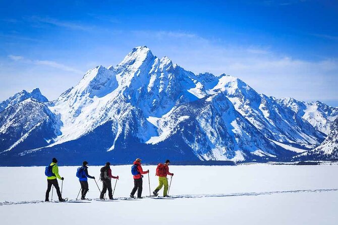4 Hour Snowshoe in Grand Teton National Park - Traveler Reviews and Feedback