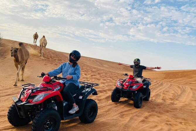 4X4 Dubai Desert Safari With BBQ Dinner, Camels & Live Show - Pickup Information