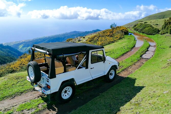 4x4 Jeep Tour to the West & Northwest of Madeira - Accessibility and Service Animals