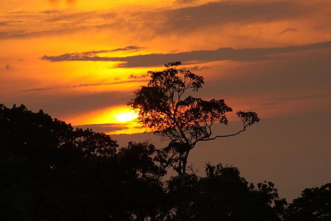 5-Day All Inclusive Cuyabeno Amazon Adventure With Accommodation in Eco Lodge - Additional Information