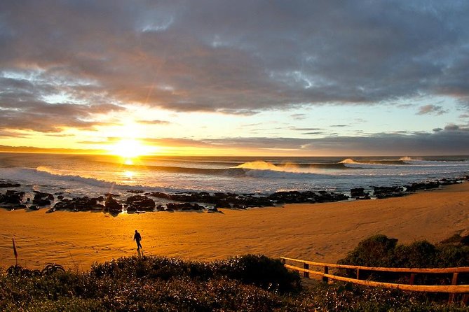 5 Day Garden Route Tour - Port Elizabeth to Cape Town - Itinerary Day 3: Oudtshoorn