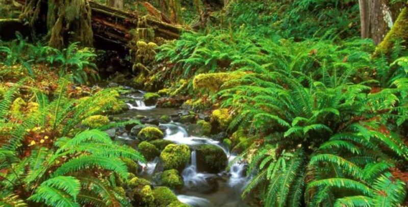 5-Day Nature Wildlife Photography Retreat - Nature and Wildlife