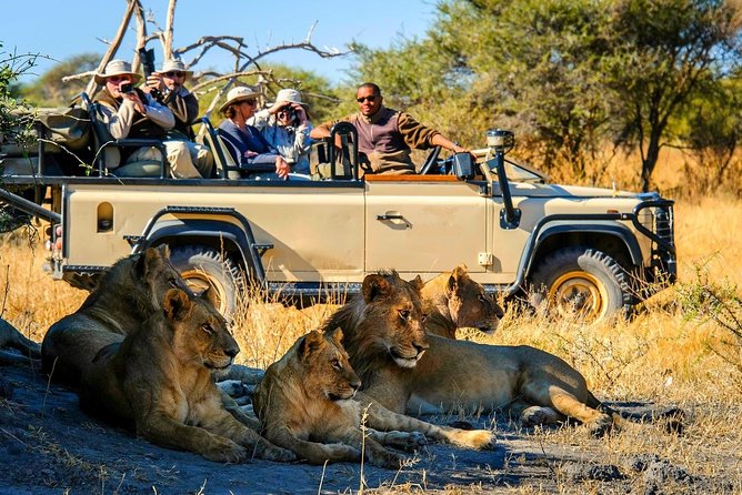 5-Day Victoria Falls and Chobe Tour From Victoria Falls - Discovering Chobe National Park