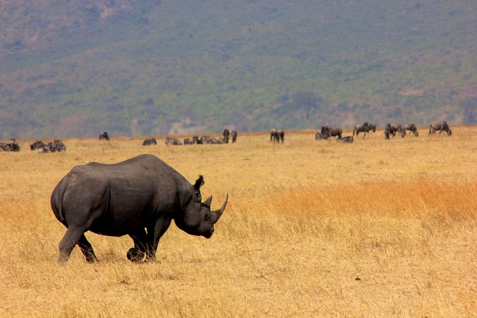 5 Days 4 Nights Tarangire, Serengeti , Ngorongoro & Manyara Wildlife Safari - Additional Information