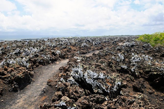5 Days Galapagos Tour: Santa Cruz and Isabela Islands - Preparing for Your Tour