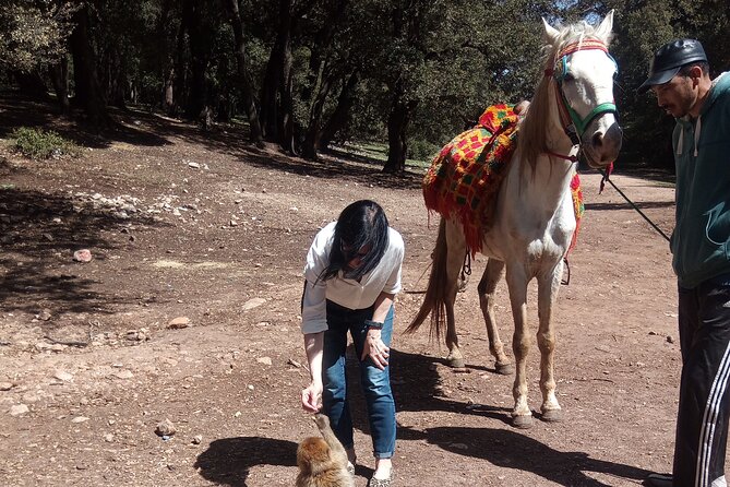 5 Days Private Tour From Casablanca to Fes and Sahara Desert - Booking Process