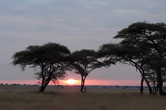 5 Days Tarangire, Serengeti, Ngorongoro & Manyara Mid-Range Camping Safari Tour - Accommodation and Meals