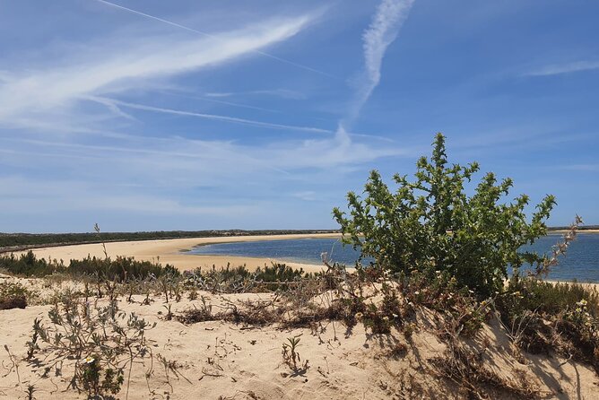 5 Hour Boat Tour in Ria Formosa - Scenic Views and Wildlife