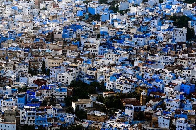 5 Hour Private Customized Tour of Tangier - Traveler Experience and Reviews