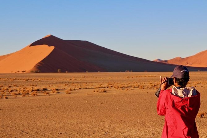 6-Day Dunes and Wildlife Accommodated Safari From Windhoek - Adventure Activities Available