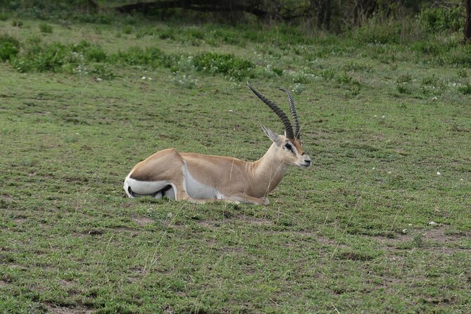 6-Day Northern Safari - Transportation Details