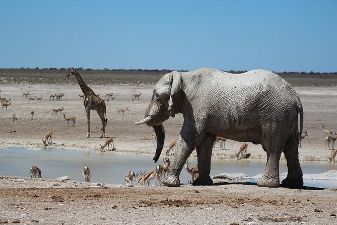 6 Day Private Guided Accommodated Namibian Loop - Meeting and Pickup Details