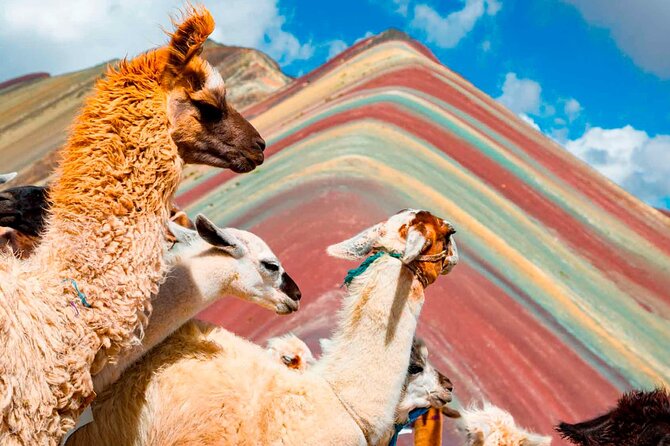 6-Day Tour of Cusco Magico-Machu Picchu-Rainbow Mountain - Rainbow Mountain Exploration