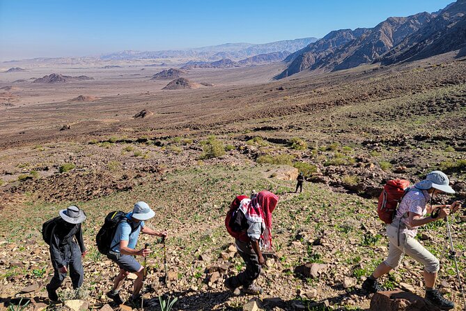 6 Days Guided Trek From Dana to Petra (Group) - Health and Safety Requirements
