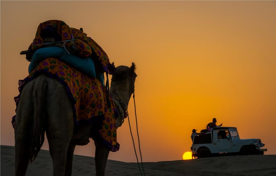 6 Days Jaisalmer Jodhpur & Udaipur Tour - Prohibited Items and Guidelines