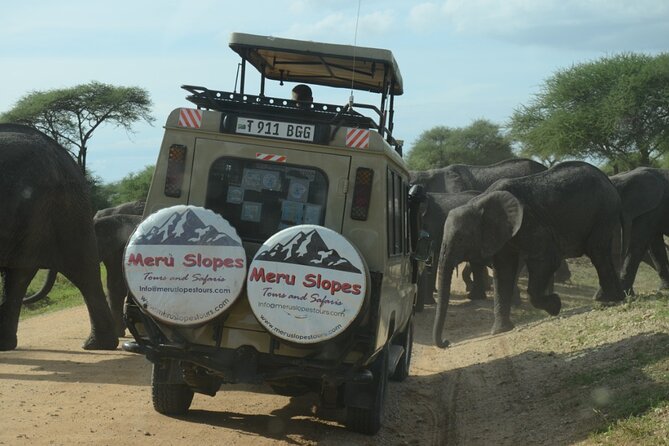 6 Days Tanzania Budget Camping Safari - Meals Included